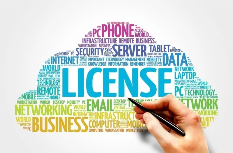 Business License
