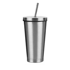 Stainless Steel Vacuum Insulated Tumbler with Lid and Straw Travel Mug Double Wall Coffee Cup for Office 480ML