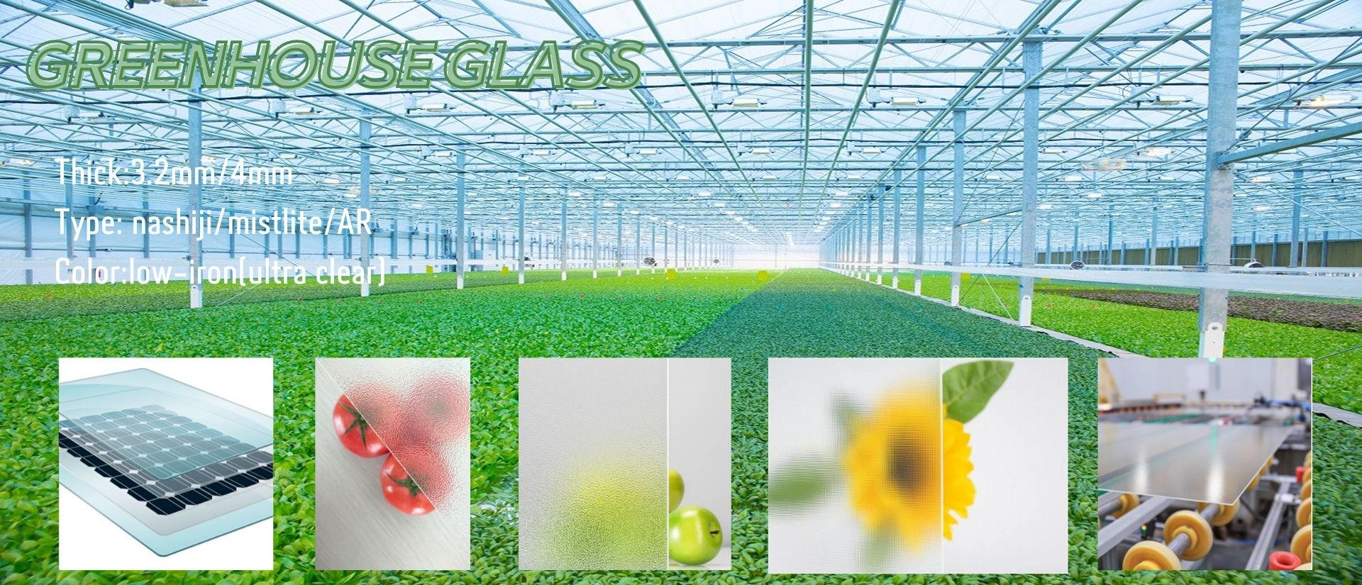 GREENHOUSE GLASS