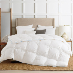 Delight Down Feather Hypoallergenic Comforter 22KD9001