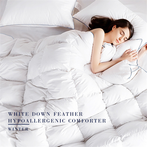 Delight Down Feather Hypoallergenic Comforter 22KD9001