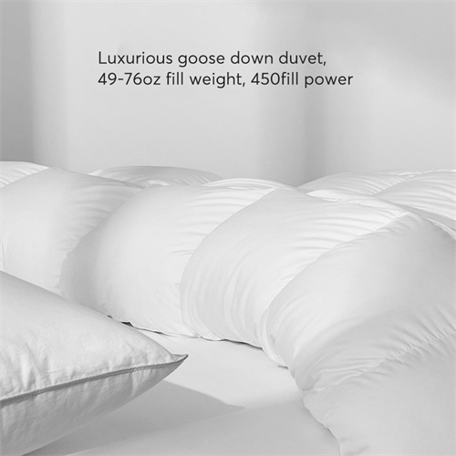 Delight Down-Feather Comforter 22KD3003