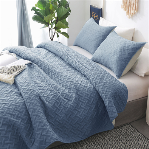 Delight Seam Work Stone Washed Quilt Set 22KQ0010