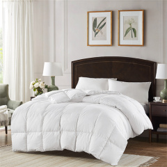 Delight Down-Feather Comforter 22KD3003