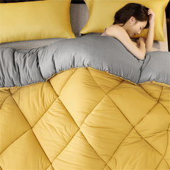 Delight 2-Tone Reversible Comforter Set 22KC0008