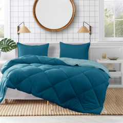 Delight 2-Tone Reversible Comforter Set 22KC0008