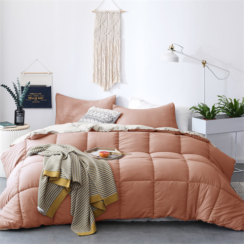 Delight 2-Tone Reversible Soft Comforter Set 22KC0001