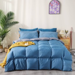 Delighthome Modern Down Alternative Comforter Set 22KC0038