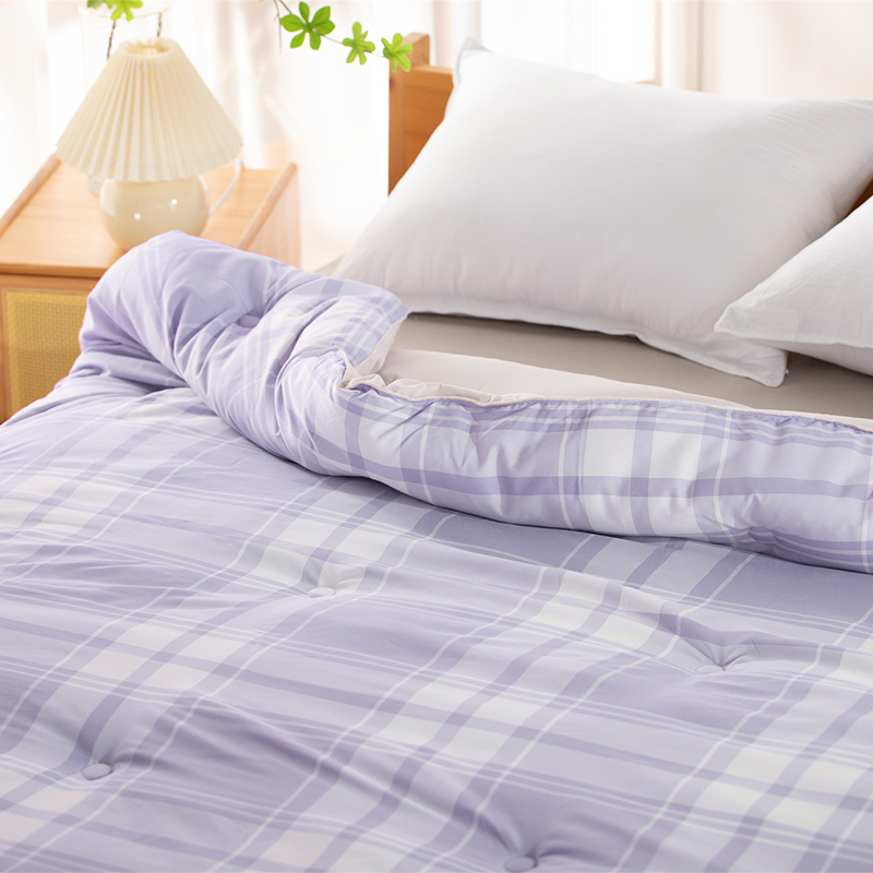 Delight Home comforter