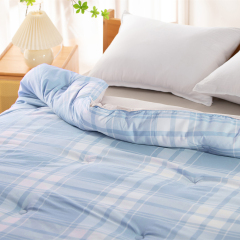 Delight Home comforter