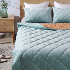 Delight Home quilt