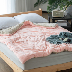 Delight Home velvet comforter