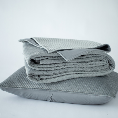 Pinsonic Embossed Velvet Quilt Set