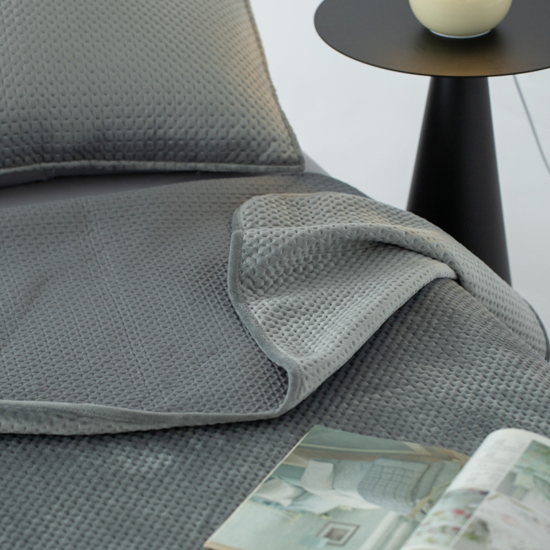 Pinsonic Embossed Velvet Quilt Set