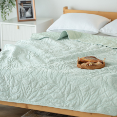 Delight Home ultrasonic embossed velvet quilt