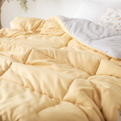 Delight Home comforter