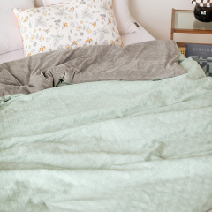 Delight Home comforter