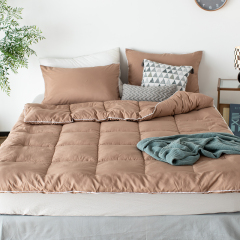 Delight Home comforter