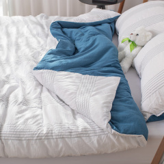 Delight Home seersucker comforter