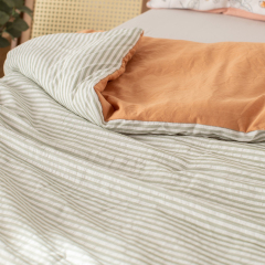 Delight Home comforter