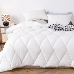 Delight Home cotton comforter