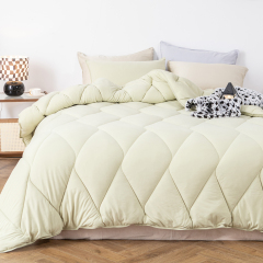 Delight Home comforter