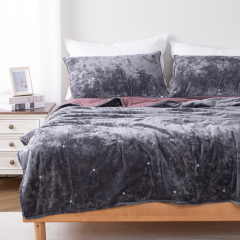 Ice Velvet Quilt Set