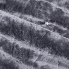 Ice Velvet Quilt Set