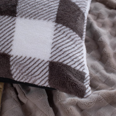 Warp-Knit Polar Fleece Printed Pillowcase