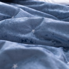Italian Crinkled Ice Velvet Embroidered Quilt