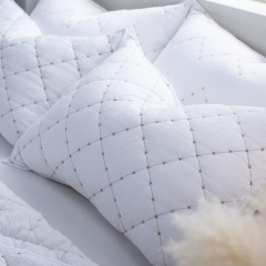 Geometirc Quilting