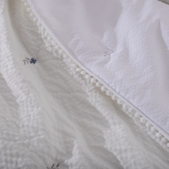 Cotton-Feel Seersucker Embroidered Quilt