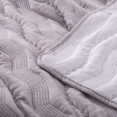 Cotton-Feel Short Plush Quilted Quilt