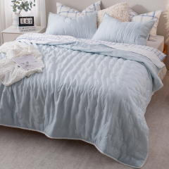Tencel-Linen Blend Embroidered Quilt