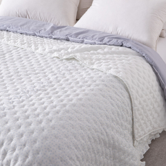 Ultrasonic Quilted Quilt with Elegant Ruffle Edge