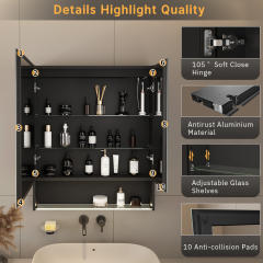 MIRROLIA Lighted Medicine Mirror Cabinet