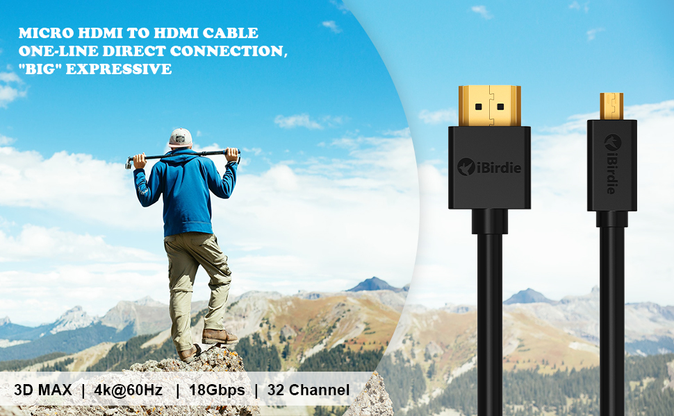 BlueRigger Micro HDMI to HDMI Cable (10 FT, 4K 60Hz, HDR, High Speed,  Ethernet) - Compatible with GoPro Hero 7/6/5/4, Raspberry Pi 4, Sony  A6000/A6300