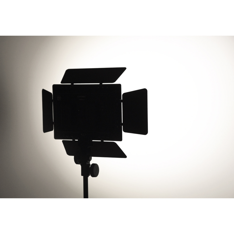 YONGNUO YN600L II，Professional Video Light，Interview Light