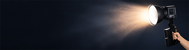 Handheld Light