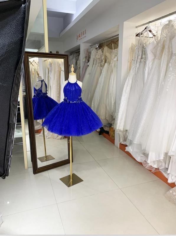 Royal luxurois princess shiny tulle embroidery halter neck flower girl dress ball gown