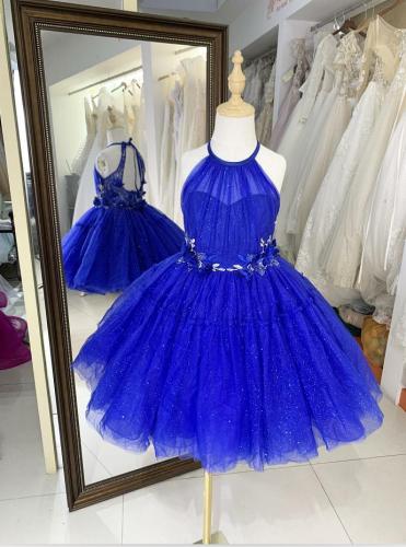 Royal luxurois princess shiny tulle embroidery halter neck flower girl dress ball gown