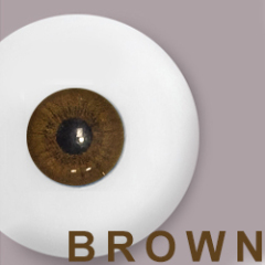 Brown(Same as photos)