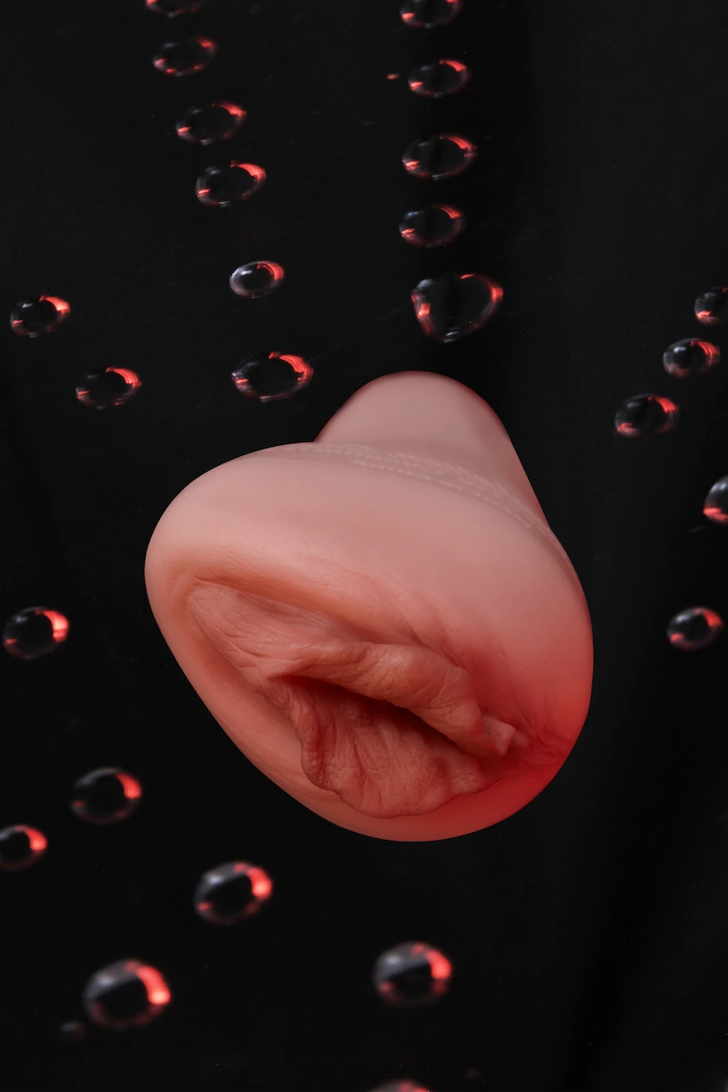 Masturbation-Cup-L-Vagina-122-Art-Photo-Flat-Display