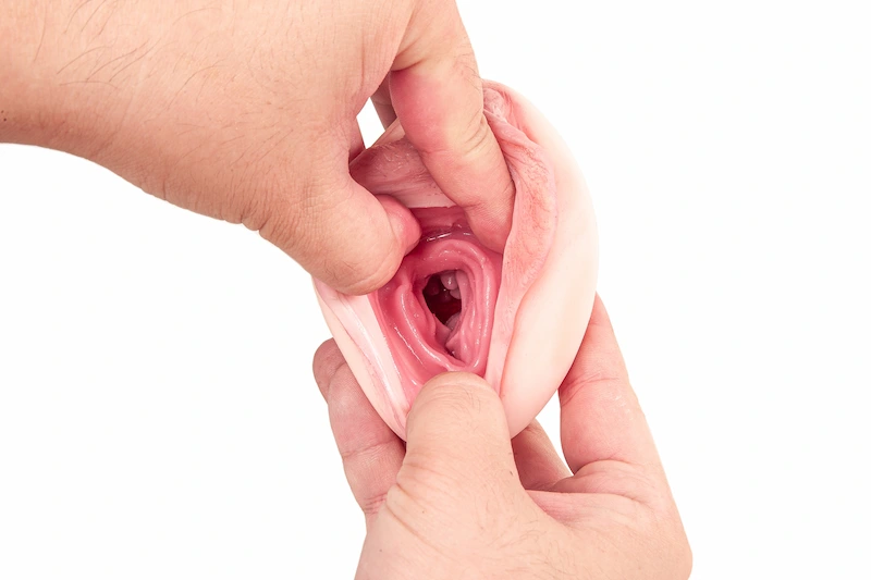 Sex-Toy-Cup-L-Vagina-122-Vaginal-Internal-Detail-Display