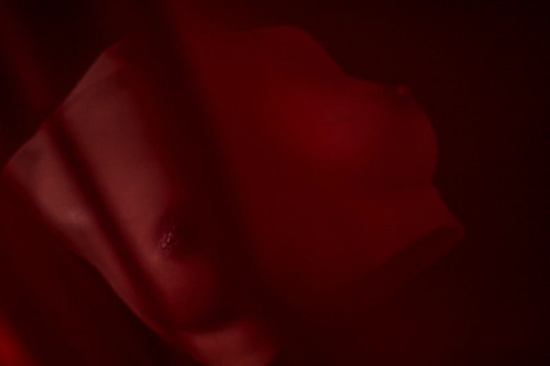 Silicone-sex-toy-si-b-61-black-light-and-shadow-effect