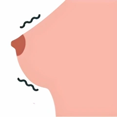 Solid breasts