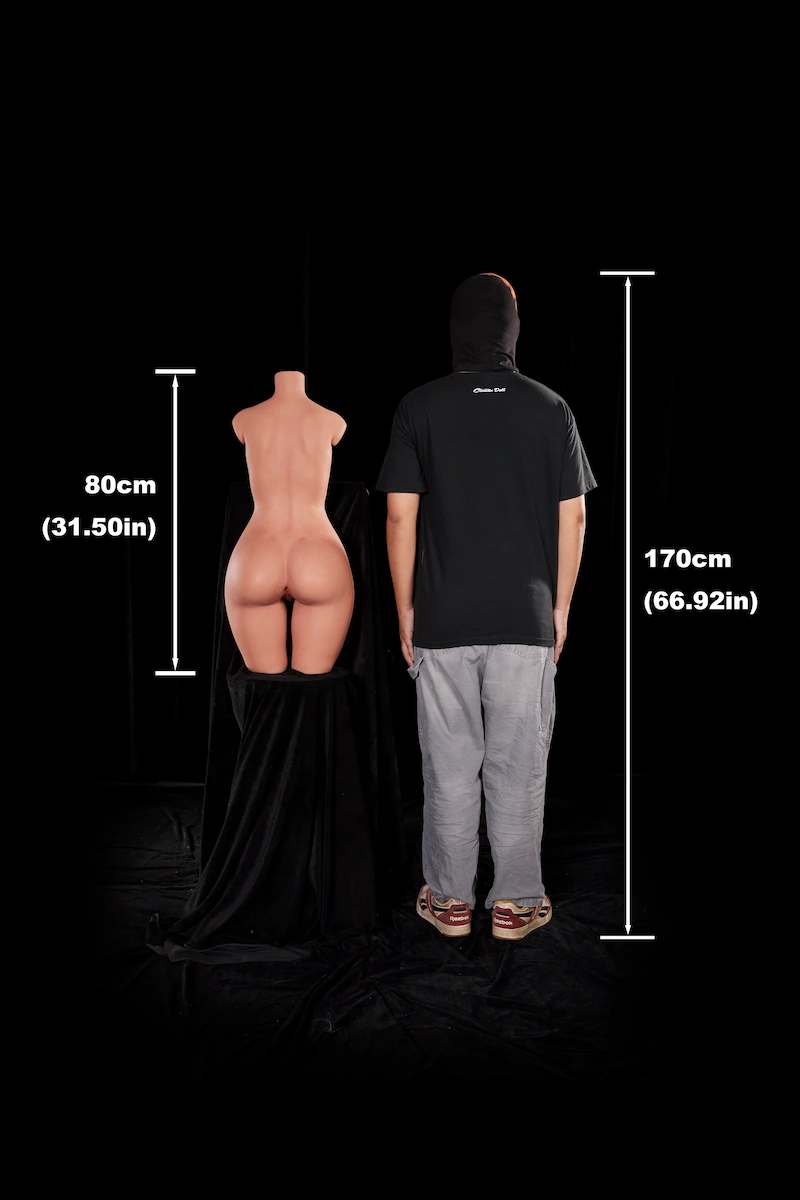 ULW-881-Back-Size-Display-Sex-Torso