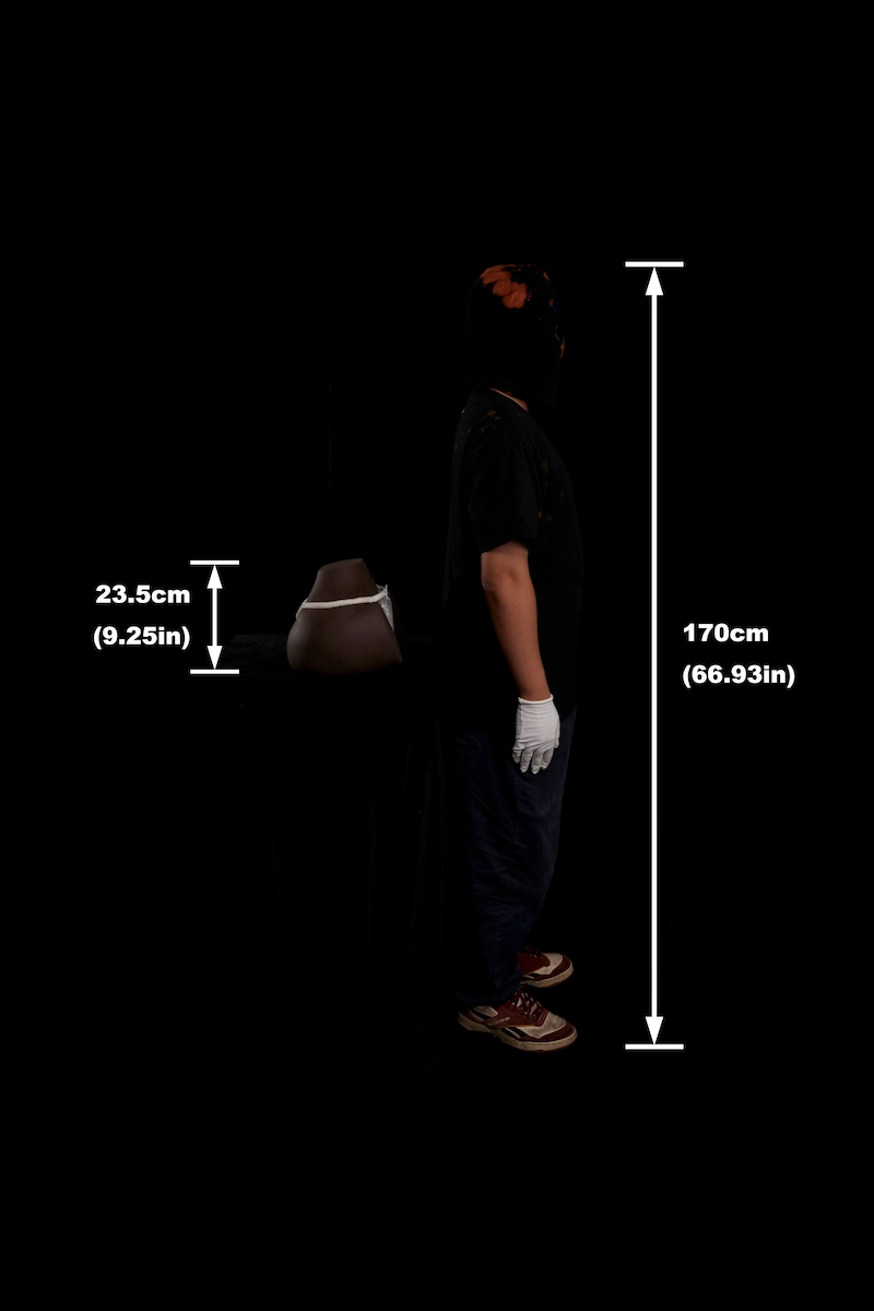 Realistic-sex-torso-rs-6-cocoa-size-display-side-view