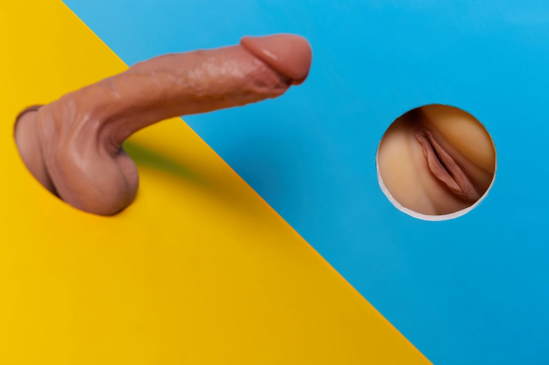 Big-butt-sex-torso-r2-yellow-penis-and-vagina-display