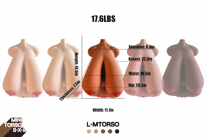 Huge-ass-mini-sex-torso-l-mtorso-size-and-weight-chart